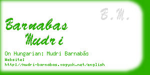 barnabas mudri business card