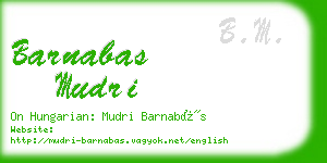 barnabas mudri business card